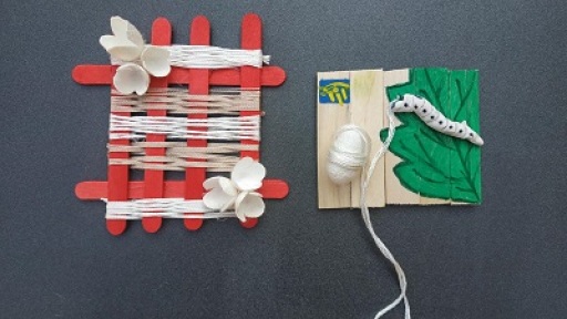 magnitakia-me-koukoulia-400