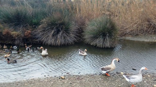 pagosmia-imera-igrotopon-400