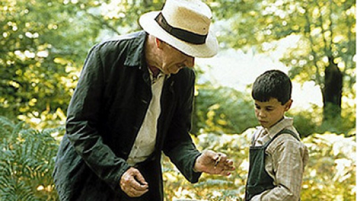 La-lengua-de-las-mariposas-400-2