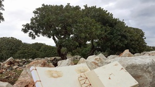 eikastika-ergastiria-vivliodesias-300