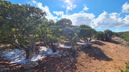 ergastiri-kataskevis-me-pilo-400