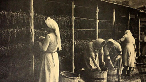 Mpest_mavromata_banner