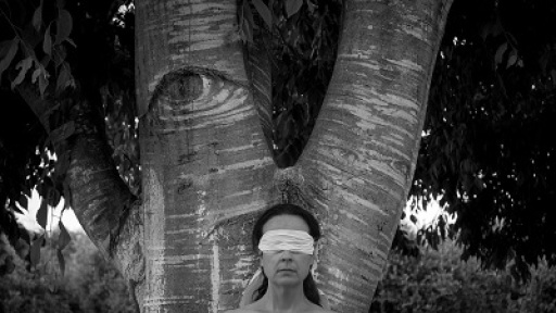 ekthesi-fotografias-human-nature-400b