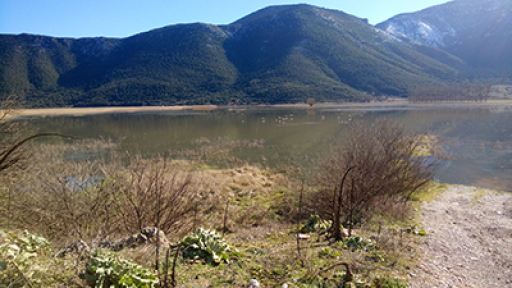 h20-inter-competition-400