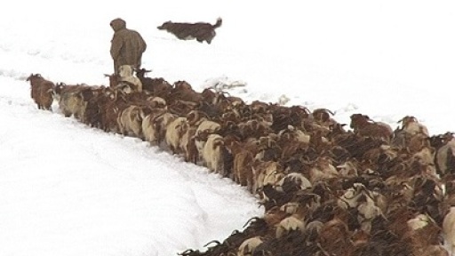 oi-sarakatsanoi-tis-korinthias-400