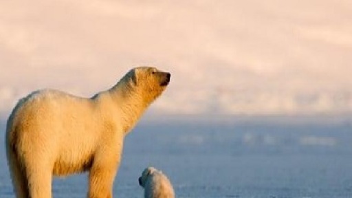 provoles-ntokimanter-122021-402