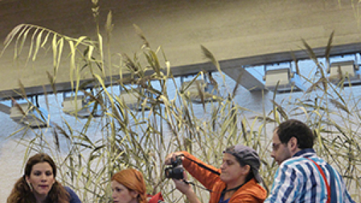 theatriki-parastasi-300