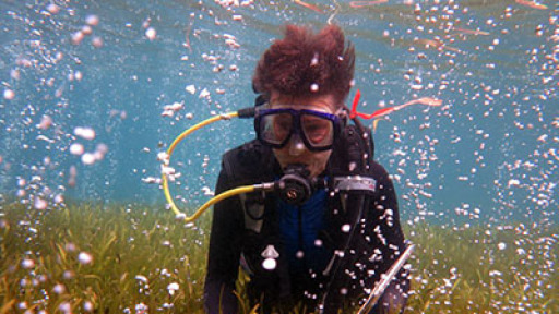 Thessaloniki_ntokimanter_okeanos_okseos_2018_400