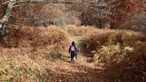 afigimatikoi-peripatoi-400