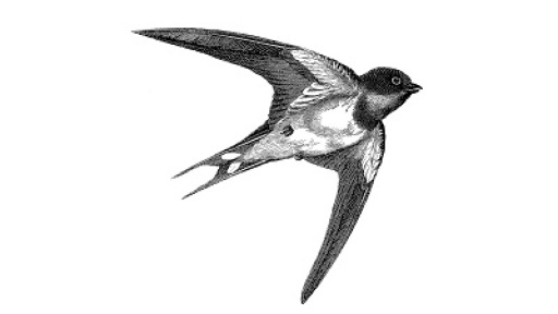 draseis-tritis-ilikias-400