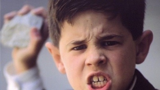 La-lengua-de-las-mariposas-400