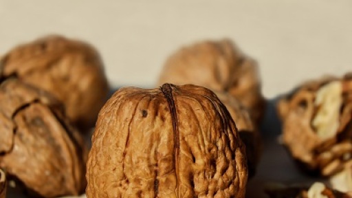 i-diatrofi-stin-proistoriki-periodo-400