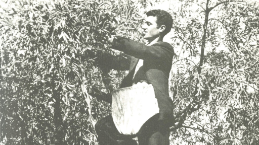 ekpaideytiko-exereunodas-ti-diatrofi-apo-ton-omiro-sta-arheia-tou-piop