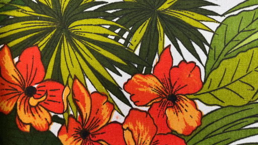 ekpaideytiko-skies-stin-poli-anakaluptoume-tis-tedes-tis-athinas