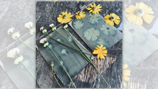 earina-stefania-ergasthri-1120