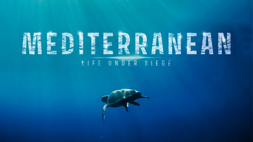 mesogeios-poliorkimeni-thalassa-1120