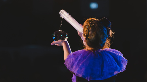 parastash-sapounofouskes-1120