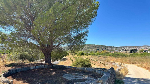 apo-ta-alonia-sto-mouseio-1120