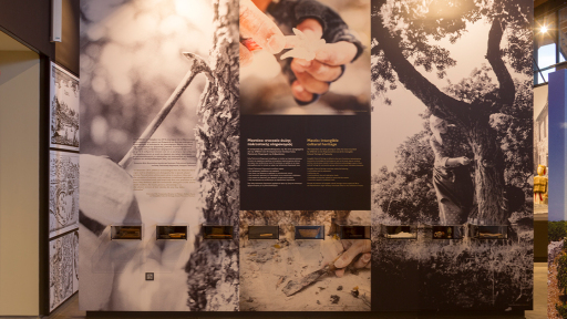 kentontas-ton-sxino-25-1120