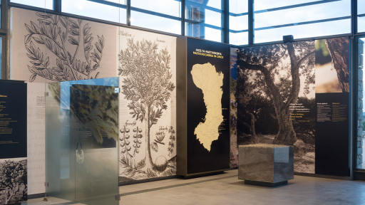 to-mouseio-mas-periigisi-1120