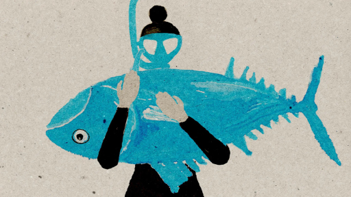 provolos-tainion-mikrou-mikous-1120