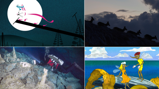 provoles-festival-documentary-pelop-1120