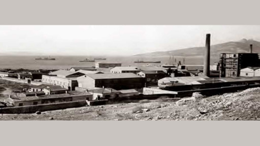 elefsina-thriasio-pedio