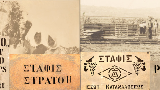 i-stafida-sti-ditiki-peloponniso