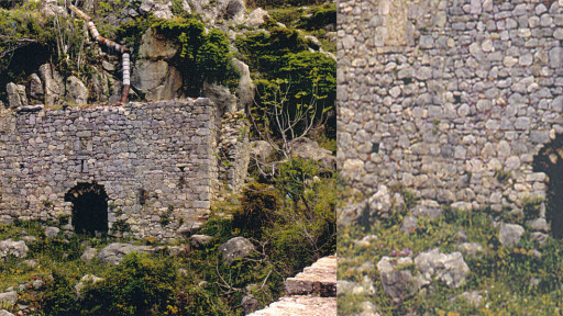 i-xlorida-tou-lousiou-potamou