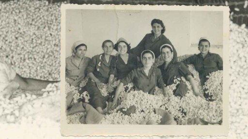 sirotrofia-metaxourgia