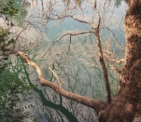 “Somewhere” Έκθεση φωτογραφίας του Γιώργου Καμηλάκη στο Μουσείο Περιβάλλοντος Στυμφαλίας